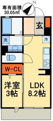 グレイスフラッツの物件間取画像